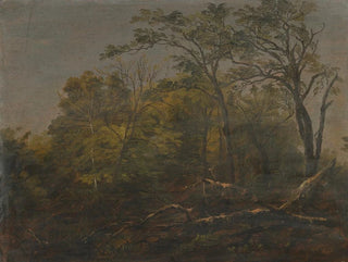 Bois du Maine - Frederic Edwin Church — näkymä teoksesta