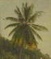 Palmiers Antilles - Frederic Edwin Church — näkymä teoksesta