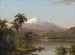 Palmiers Tamaca - Frederic Edwin Church — näkymä teoksesta