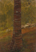 Puunrunko - Frederic Edwin Church — näkymä teoksesta