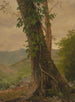 Puu viiniköynnöksillä Jamaika Antillit - Frederic Edwin Church — näkymä teoksesta