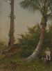 Puiden Jamaikalla Antillit - Frederic Edwin Church — näkymä teoksesta