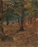 Metsäinen kohtaus - Frederic Edwin Church — näkymä teoksesta