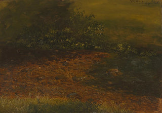 Frederic Edwin Church - Woodland stream in the Catskills.webp