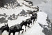 La caravane de mulets - Frederic Remington — näkymä teoksesta
