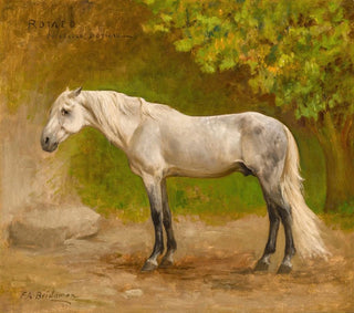 Frederick Arthur Bridgman - Romeo a Stallion in a Landscape.webp