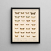Insectes Lépidoptères Hétérocères Pl 056 - Frederick Du Cane Godman — kehystetty taideteos seinällä