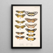 Insecta Lepidoptera Rhopalocera Pl 001 - Frederick DuCane Godman — kehystetty taideteos seinällä
