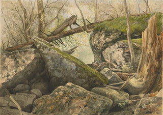 Frederick Frank Durand - Tanglewood Catskill Mountains.webp