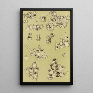 Frederick McCoy - Polyzoa IV.webp