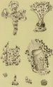 Bryozoaires IX - Frederick McCoy — näkymä teoksesta