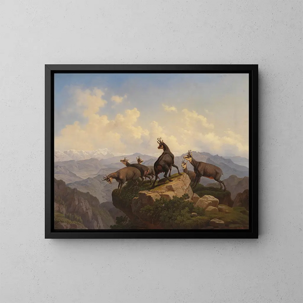 Chamois dans le Karwendel - Friedrich Hohe — kehystetty taideteos seinällä