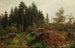 Maisemamaalaus metsänäkymä - Fritz Freund — näkymä teoksesta
