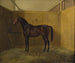 Hersilie - Fritz Thomsen — näkymä teoksesta