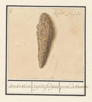 Anselmus Botius de Boodt - Fulguriet of bliksembuis dondersteen sagitta fulguris pierre detonnerre.webp