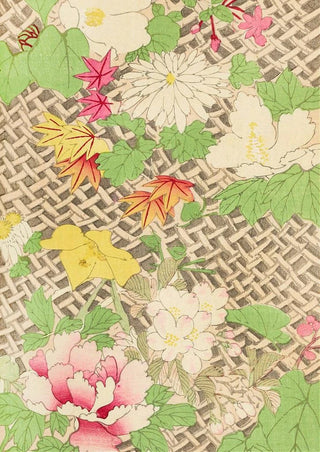 Furuya Krin - Bijutsukai Pl130.webp