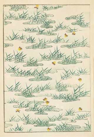 Furuya Krin - Bijutsukai Pl223.webp