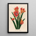 Amaryllis mexicana - Gaetano Savi — kehystetty taideteos seinällä