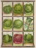 Chou-maalaus - Genesee Valley Lithograph & Co.. — näkymä teoksesta