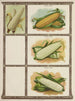 Popcorn-maalaus, makean maissin - Genesee Valley Lithograph & Co.. — näkymä teoksesta