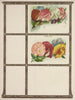 Pois de senteur - Genesee Valley Lithograph & Co.. — näkymä teoksesta