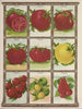 Tomate - Genesee Valley Lithograph & Co.. — näkymä teoksesta
