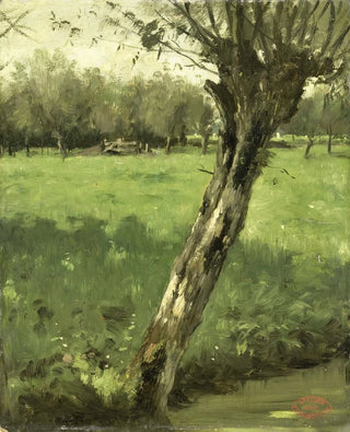 Geo Poggenbeek - The Willow.webp