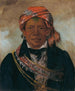 BdA-Sin Chef de la tribu - George Catlin — näkymä teoksesta