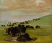 Bisons dans un trou d'eau - George Catlin — näkymä teoksesta