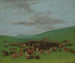 Bisonin metsästys Hidatsan ympäröimänä - George Catlin — näkymä teoksesta