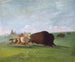 Buffalon metsästys, yksi kuolema - George Catlin — näkymä teoksesta