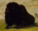 Bison mourant frappé par une flèche - George Catlin — näkymä teoksesta