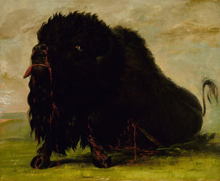George Catlin - Dying Buffalo Shot with an Arrow.webp