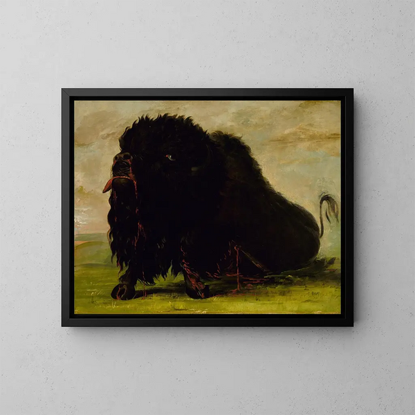 Bison mourant frappé par une flèche - George Catlin — kehystetty taideteos seinällä