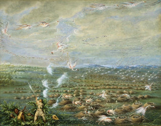 Tir de flamants en Amérique du Sud - George Catlin — näkymä teoksesta