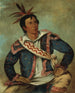 Tortue serpentine H-Tchoo-Tc-Knee, une métisse - George Catlin — näkymä teoksesta