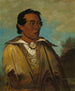 Keennekuk, Premier Homme, Chef de la Tribu - George Catlin — näkymä teoksesta