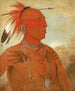 Lawhhecootslashwno Brave Chief ja Skidi Wolf Pawnee - George Catlin — näkymä teoksesta