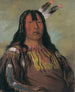 Mix-ke-mte-skin-na Iron Horn un guerrier - George Catlin — näkymä teoksesta
