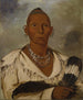 Mk-a-tah-mish-o-khaik Black Hawk, johtaja taistelussa - George Catlin — näkymä teoksesta