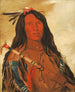 Nhee-ee-wo-tis Loup sur la colline Tribe johtaja - George Catlin — näkymä teoksesta
