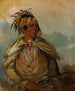 Pah-mee-cw-ee-tah L'homme qui traque un chef - George Catlin — näkymä teoksesta