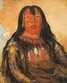 Peh-Tä-Pe-Kiss Eagles affronte un chef Piegan - George Catlin — näkymä teoksesta