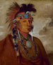 Sh-Me-Ks Näe suden johtajana - George Catlin — näkymä teoksesta