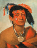 Sha-W-No Le Sud, un guerrier reconnu - George Catlin — näkymä teoksesta
