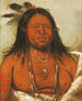 Ta-Wh-Que-Nah Montagne des Rochers Deuxième Chef de la Tribu - George Catlin — näkymä teoksesta