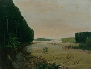 Näkymä Missouri-joen alluviaalirannoilta 600 mailia Saint-Louisista yläjuoksulla - George Catlin — näkymä teoksesta