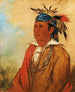 WahPnJeeA Le Cygne un Guerrier - George Catlin — näkymä teoksesta