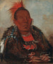WahRoNeSah-maalaus, heimonsa ympäröivä johtaja - George Catlin — näkymä teoksesta