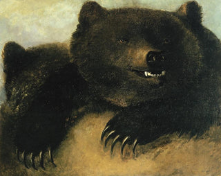 Aseet ja grizzly-karhun fysiognomia - George Catlin — näkymä teoksesta